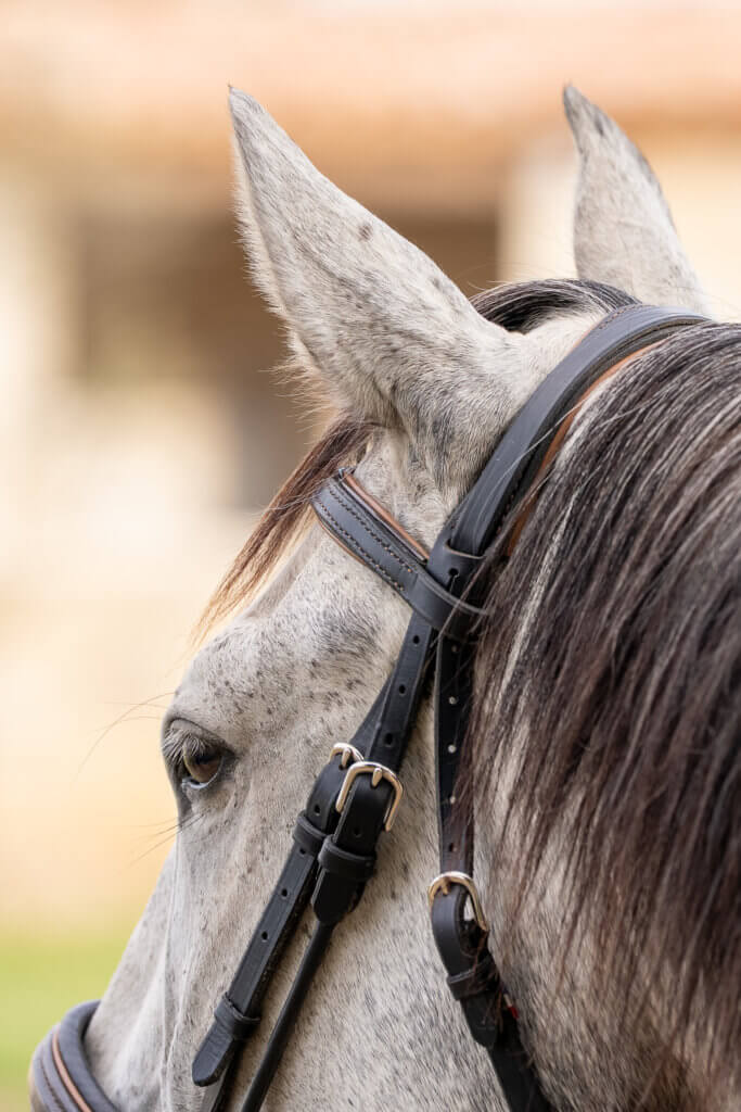 expertises_3Ter Agency